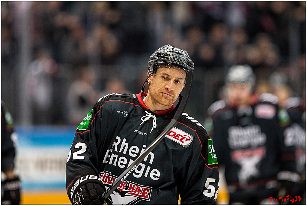 Koelner Haie - Eisbaeren Berlin, 13.11.2016
